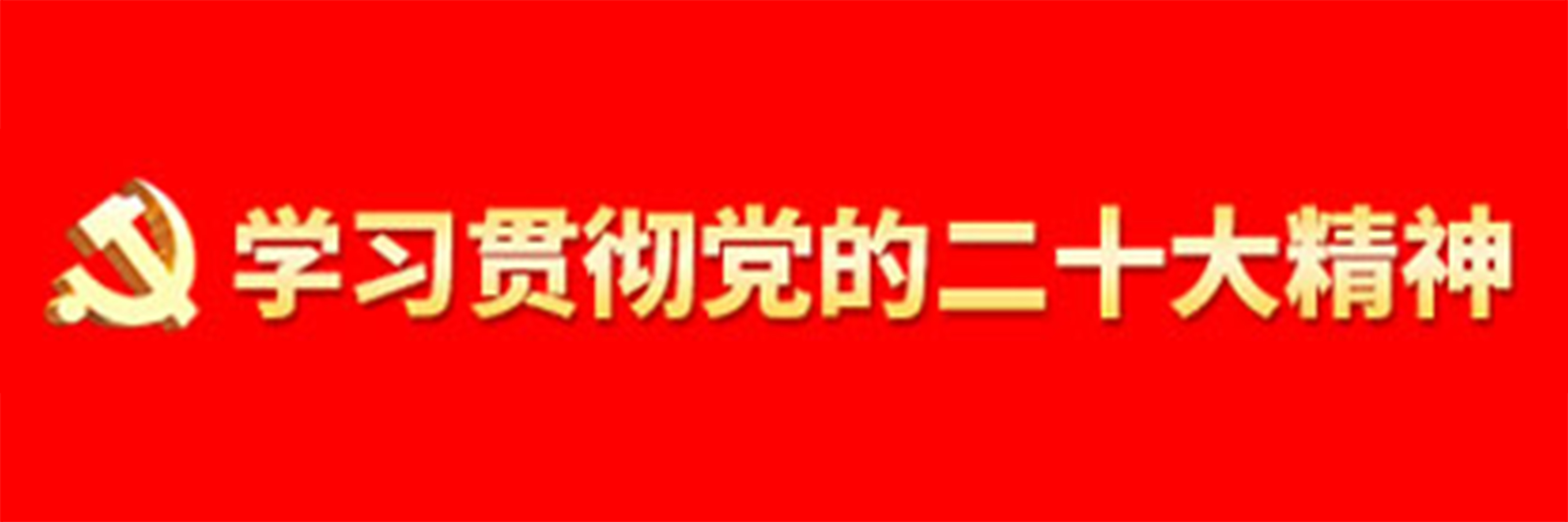 學習貫徹黨的二十大精神